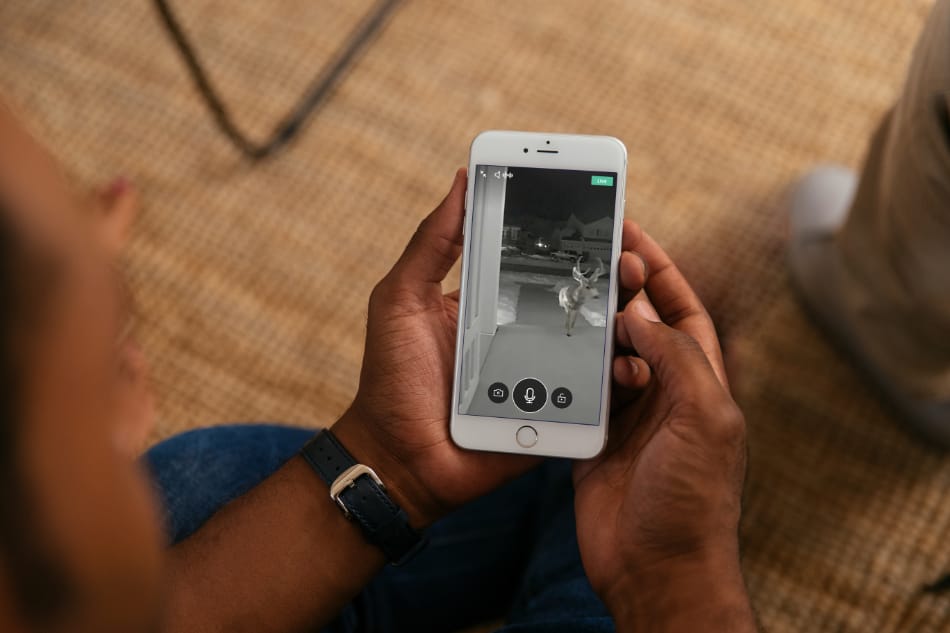 Elkton VA security system